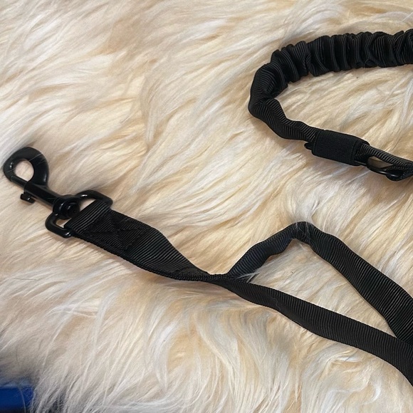 SALE!! Military tactical dog bungee training leash and seat belt buckle.   4 - Picture 7 of 12